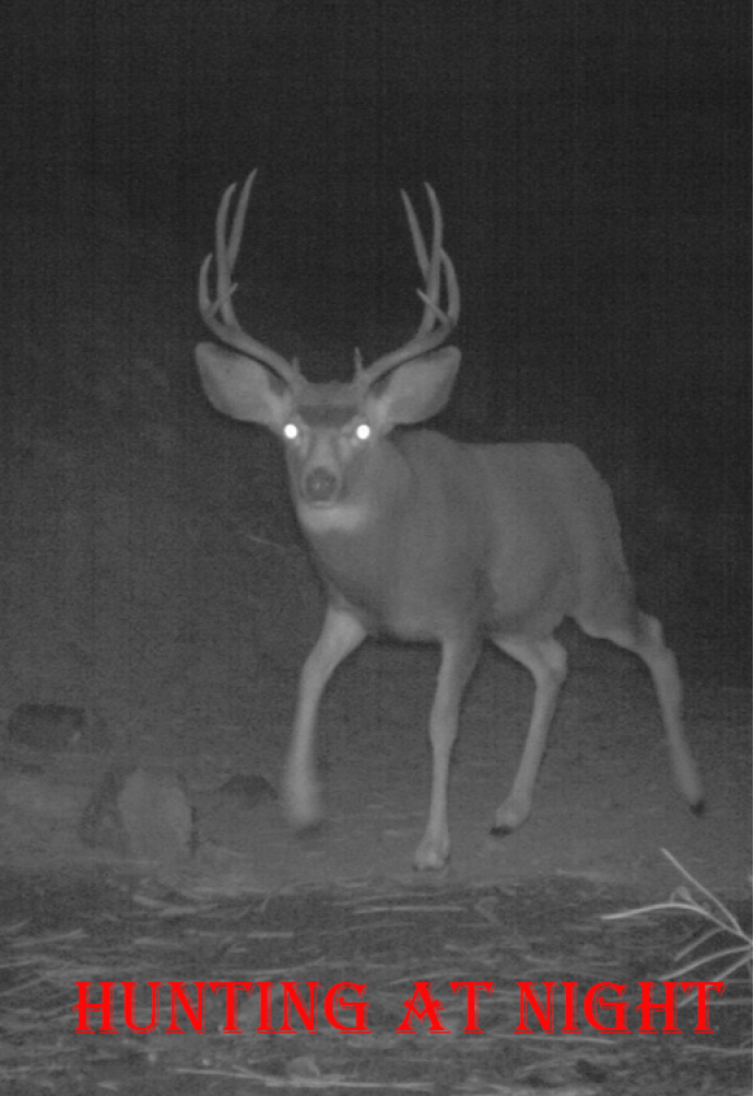 Hunting at Night – ultimate guide